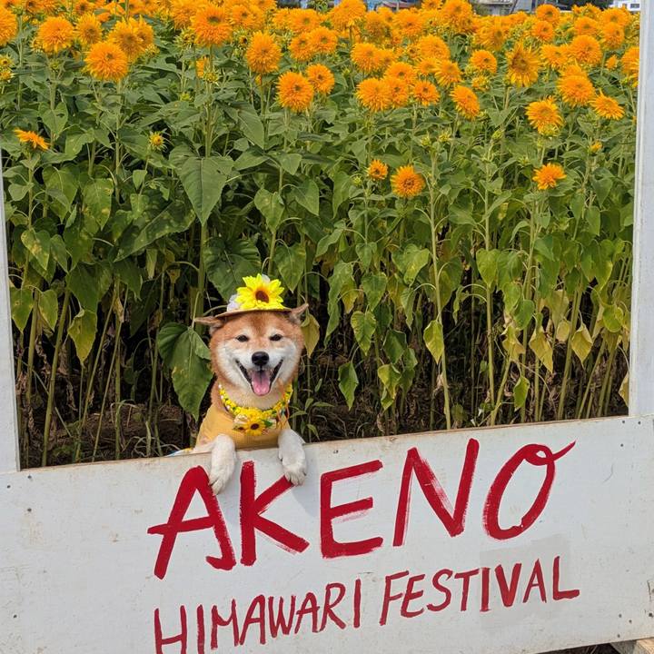 4f216ab4 ec1d 48b7 82df 0ad1bafbd95f 1756612818489