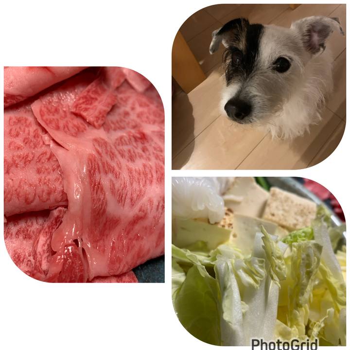 4f21c9a3 07ee 483c a3f2 60567c42b37d 1672395516659