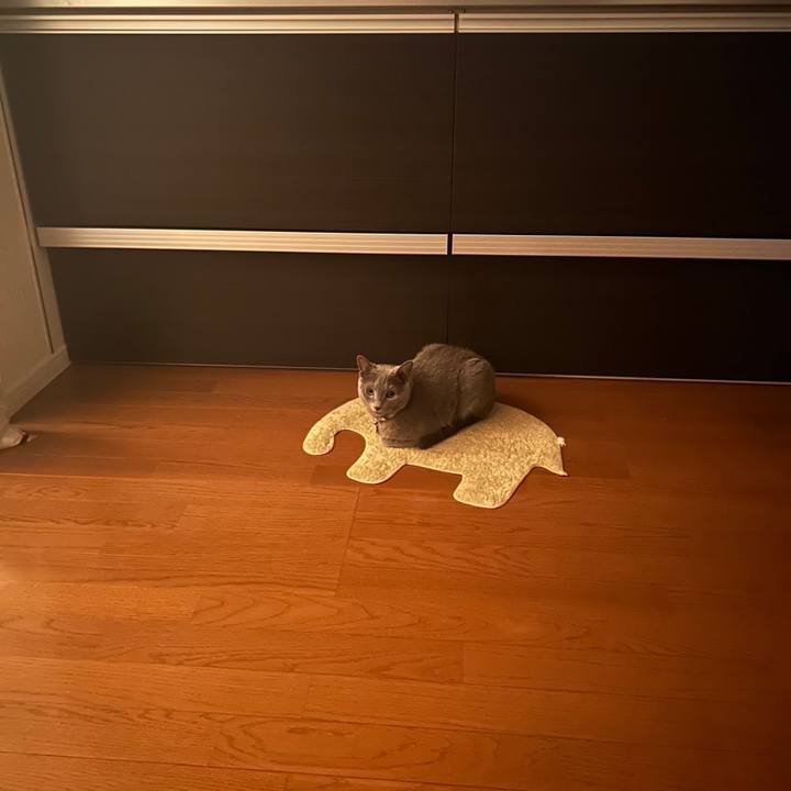 4f21e40b 6f3e 4feb bde9 410ab025334b 1692990916251