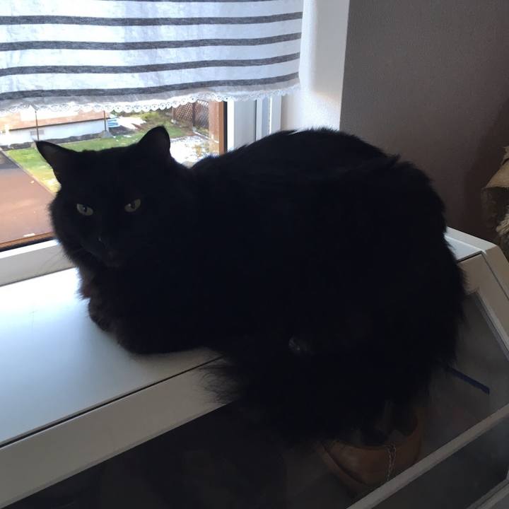 4f2206a8 c0c7 4bf4 923e d473a38ea547 1508816090723