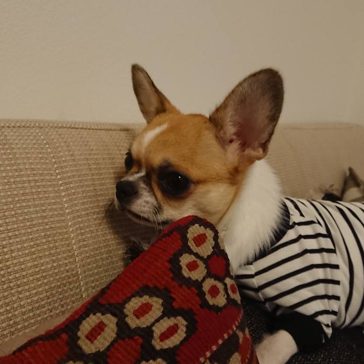 4f224be5 b66d 455f beae cdd6dcd4d019 1537868897733