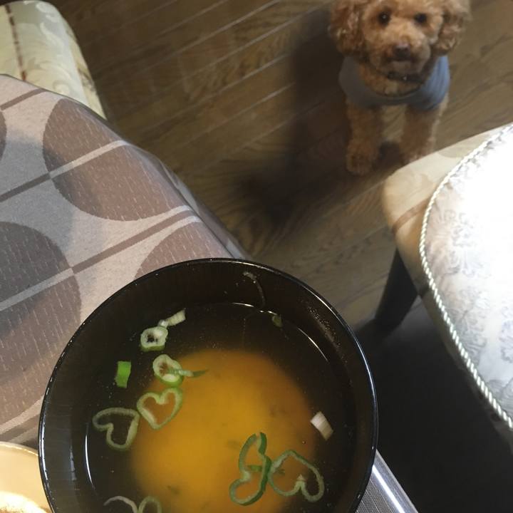 4f225de0 3623 40c7 9f4c 839c3d762f07 1528106973213