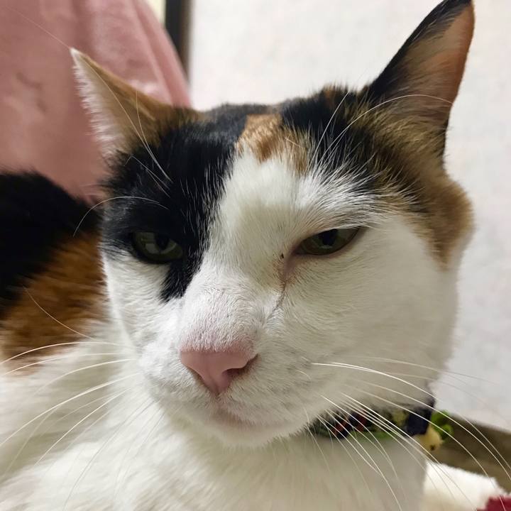 4f22690f 9e14 44f8 be42 0075d7f2b27d 1553346160236