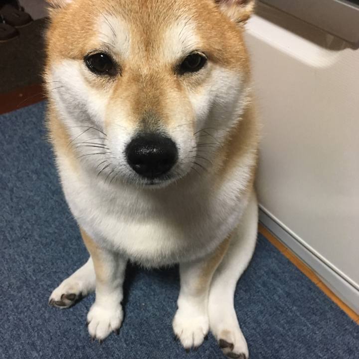 4f2269a7 e07f 4fb0 8999 1d490041af2b 1613342465507