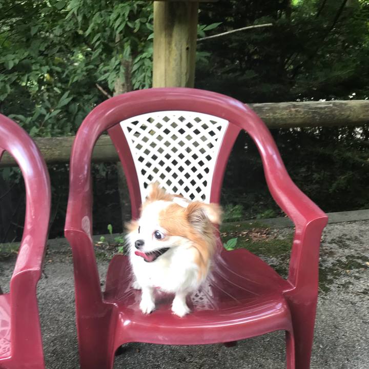 4f22ae3f b5e8 4edd b35b 804f354c94ab 1565502873171