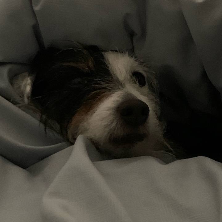 4f22ed21 84f5 4b16 be57 e0db0b105535 1649167622848