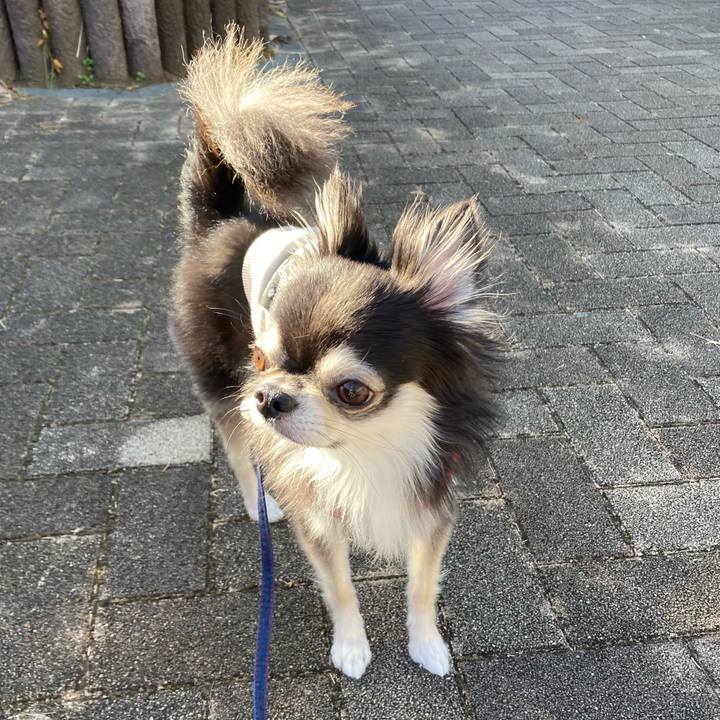 4f22f987 3a50 4680 a2ff 8fc46bc20509 1702093441620