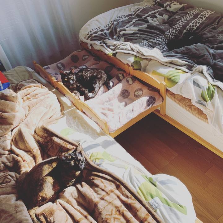 4f231716 b4c2 4939 b232 bbdec57e2369 1573816636874