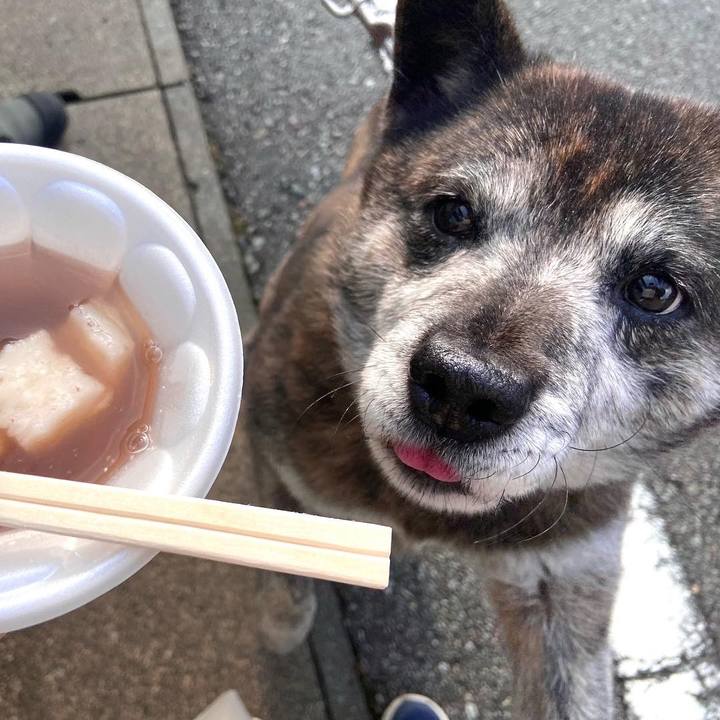 4f233633 218a 4092 bf55 cb5074db3ccb 1673151829019