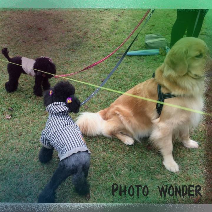 4f236308 2fe0 4ef5 9567 7321217f2815 1541735423526