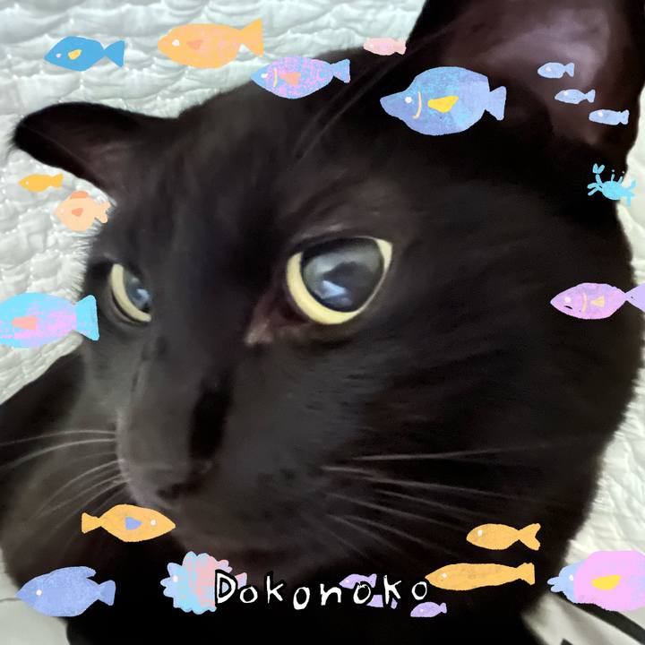 4f23730a e79b 47bc af04 01568a5ec1e7 1755061893838