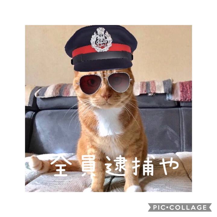 4f23b963 1979 4be6 9c6b 18ab245254e9 1566736925725