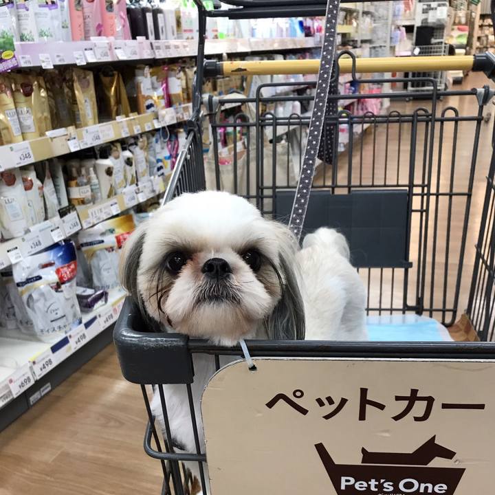 4f23f681 f394 4178 bb7e 692b018d45e8 1571751436464