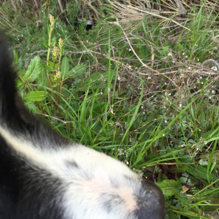 4f2405b6 c57f 48df 947f 7f07e8386ad3 1552096251621