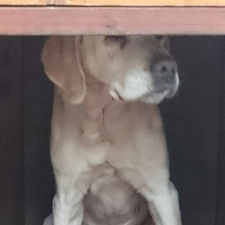 4f2413a6 d588 4738 9d71 40270de2f9cb 1546835182893