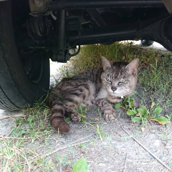 4f241917 4007 449e a1b1 65201b0dc901 1598736585786