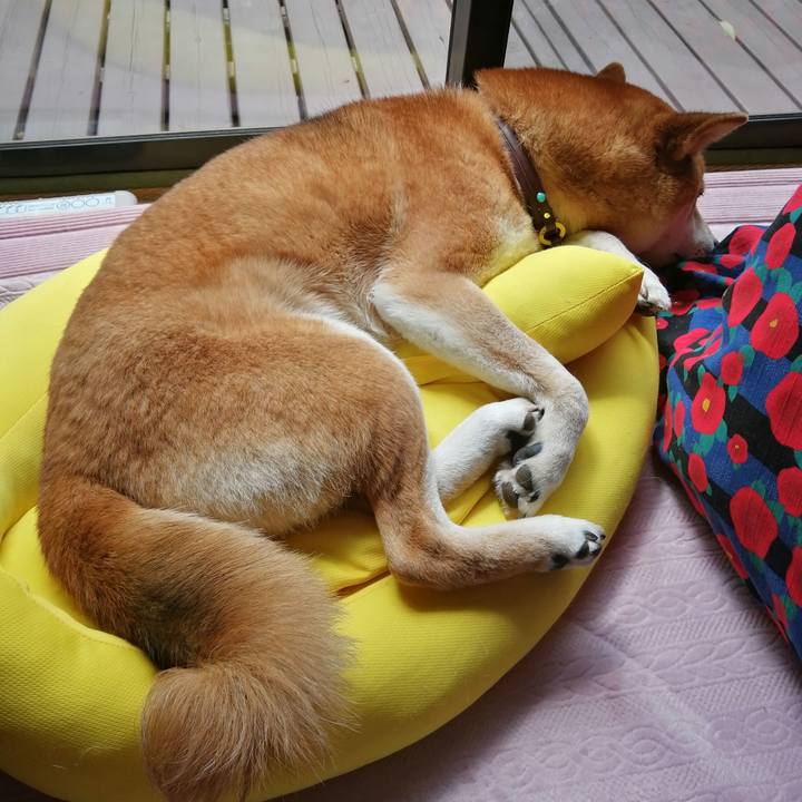 4f248c05 12b3 496f bef5 054047b375bc 1681788326352