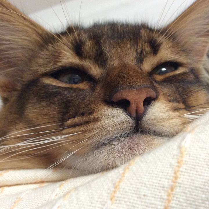 4f24c590 9465 4a03 91c2 0497639469ab 1591523774834