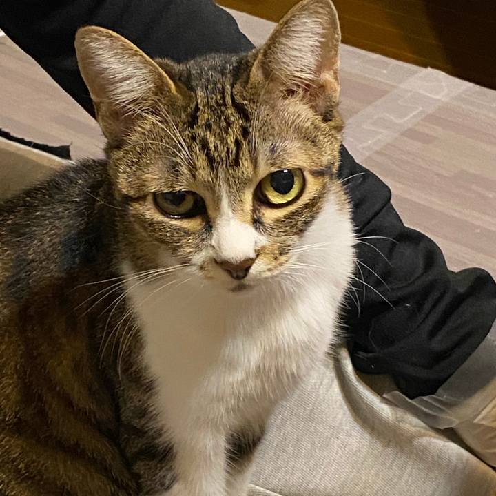 4f24ea5a fb39 43e4 93f2 8bc8e1b831f6 1609166180555