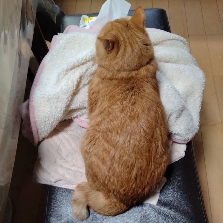 4f252901 b74e 4fed a155 edecd9539c4c 1701489173237