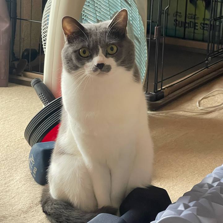 4f255d14 dcc6 4584 96e9 2bd7ffbab161 1665284450982