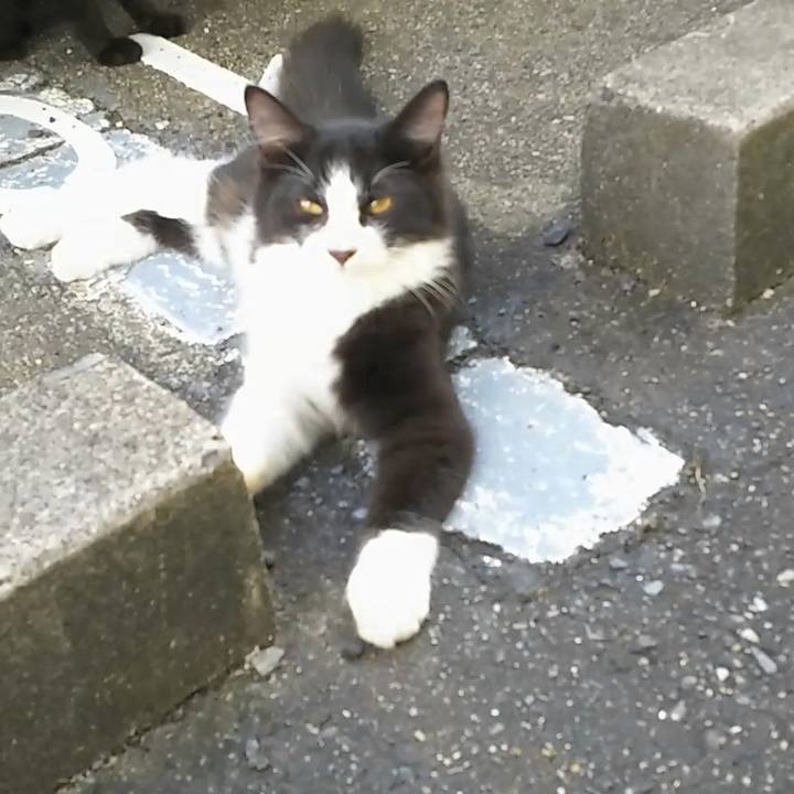 4f255e5a 12dc 47d1 a128 b9db25ebdbb5 1566429949701