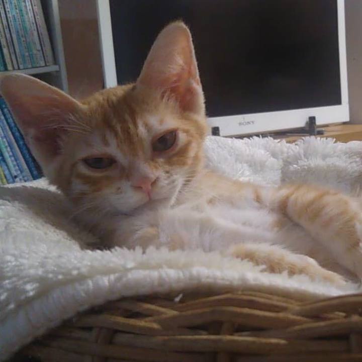 4f25647a 9de3 4e89 b69e a0feffd090e7 1593834220520