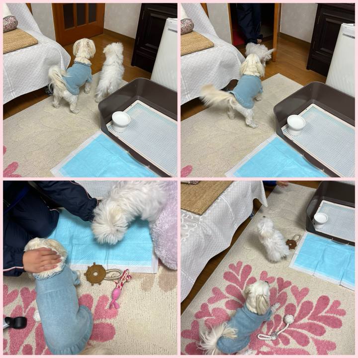 4f256e3c 4947 4419 a2fb 4628a3edf24d 1706699432891