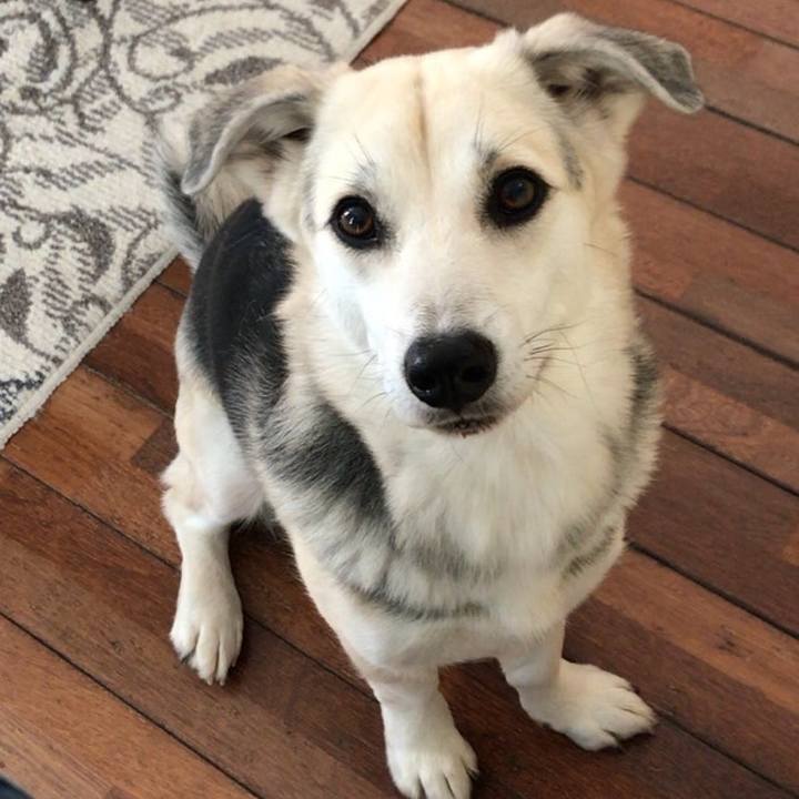 4f257189 ee22 4a59 b0dc 01f5fdfcd99b 1530960563287