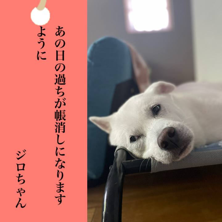 4f2594a1 e7e8 46c8 ad99 ab45d0d0d6c7 1751893339470