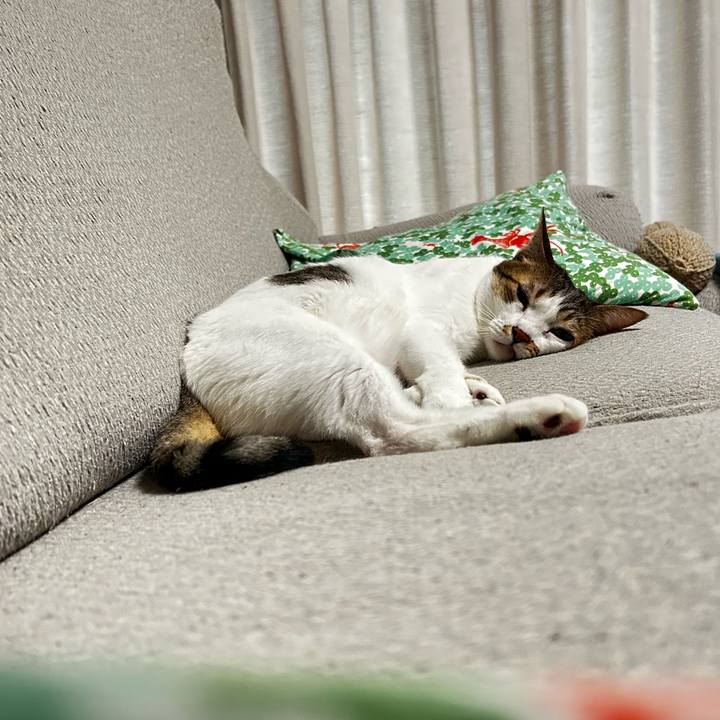 4f259dc6 c8ea 4527 98c7 1bbd5c6f3a1e 1758580335283