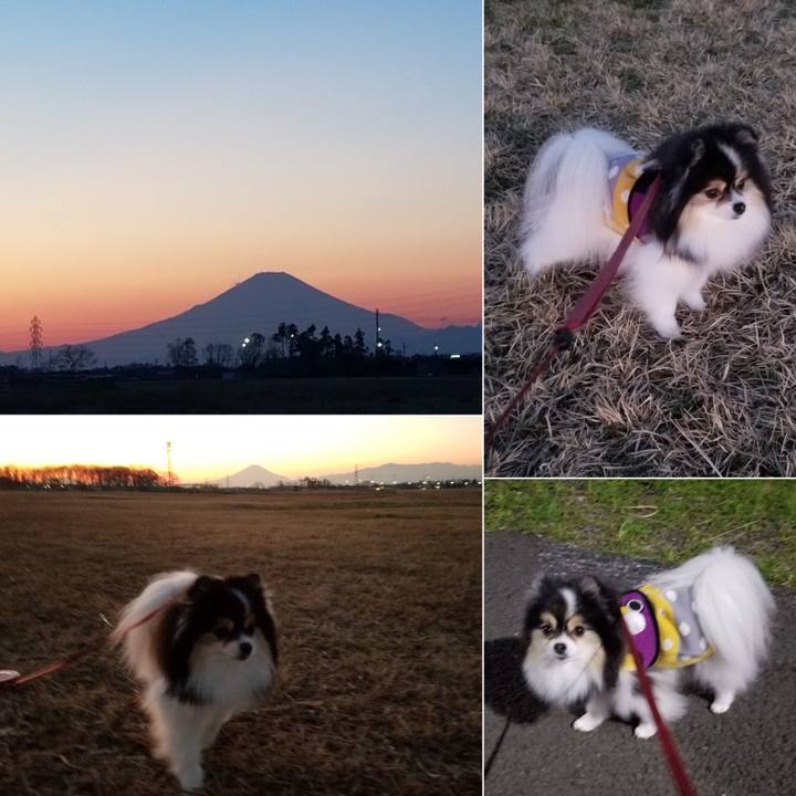 4f25cfee 51e3 4921 8db5 36553f925fd5 1578110895051