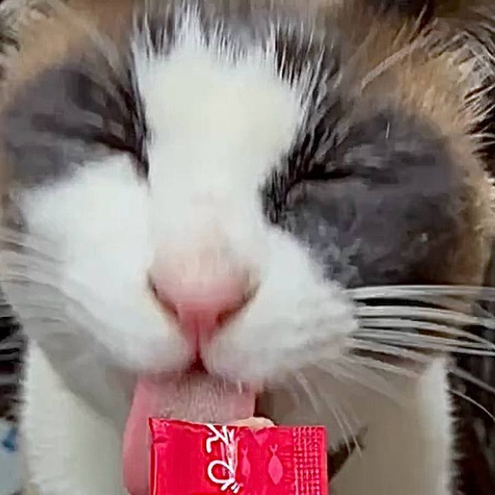 4f25de73 ba86 47b4 8831 ea0db518da5c 1746178657415