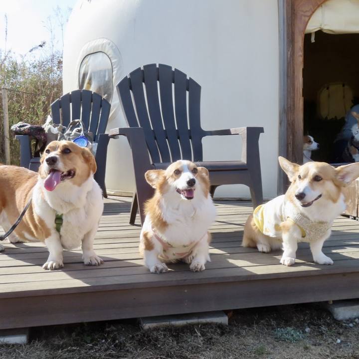 4f2602a1 d56e 4f99 a101 a3a7bf3267ea 1708916505526