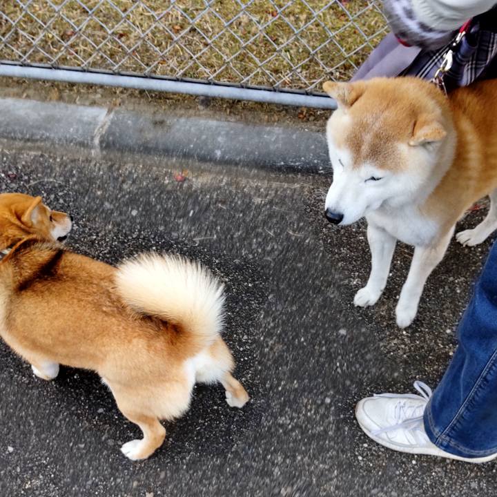 4f26838b aa51 4a17 b9ea 1b4127cdf1d0 1643768831128