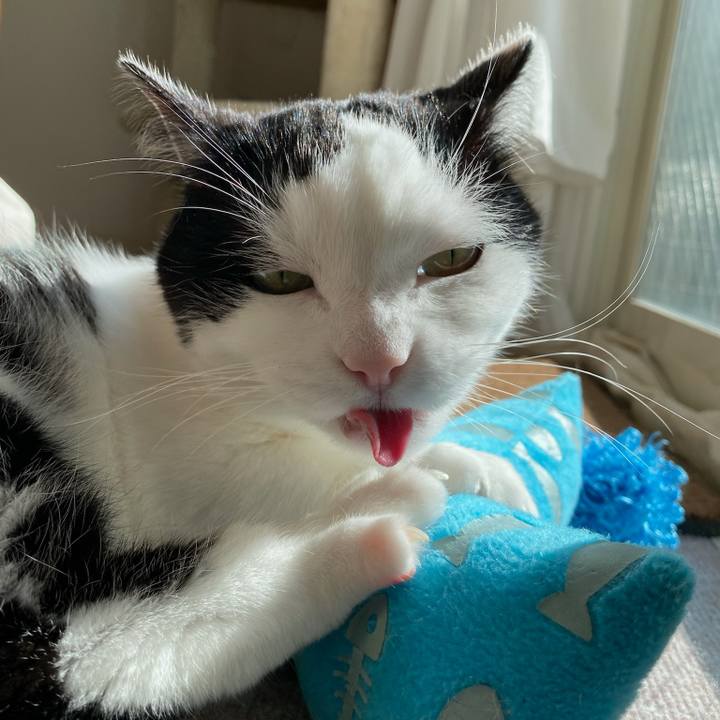 4f26b4f2 324d 4aa2 ba7e d5d48923612e 1771030656939