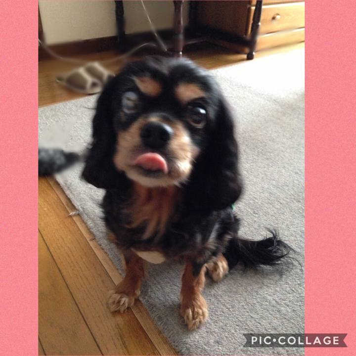 4f26e302 ddb7 4aa9 ba6d 15242d15b378 1542376555344