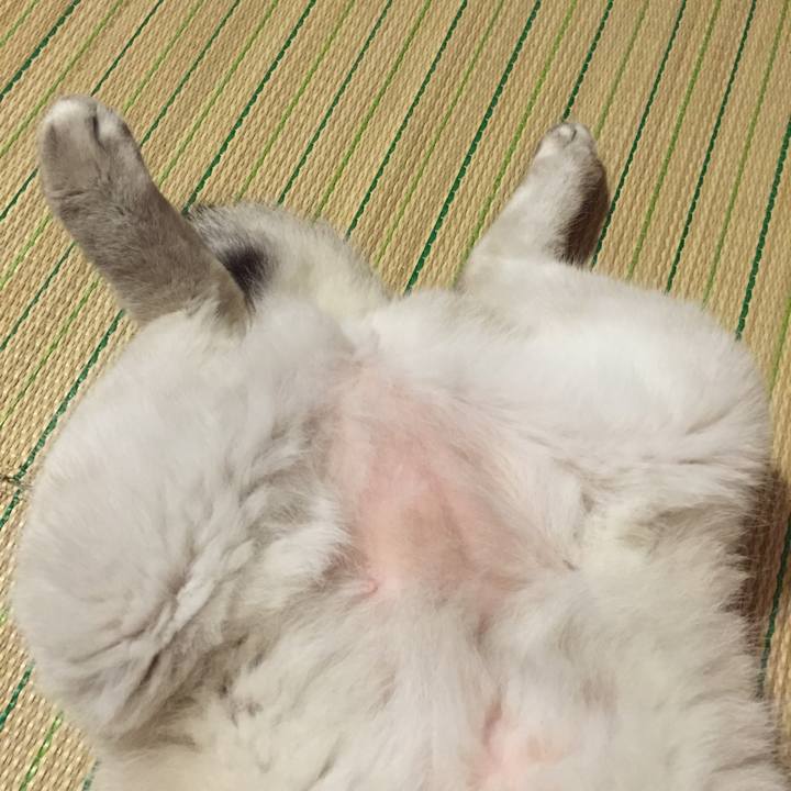 4f273572 3d35 406b 9669 005b988bb7d7 1538737327223