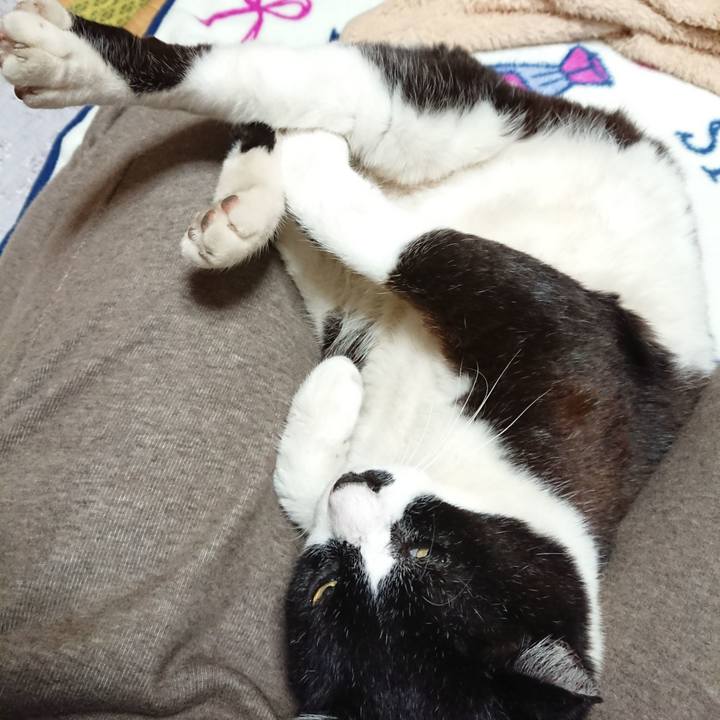 4f2736ae 9b43 4936 a0e6 620ef4ab4dda 1637058384119