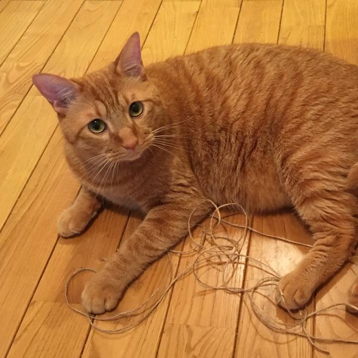 4f274eb3 61df 4ac0 bb0a 717f95514f5d 1535196674226