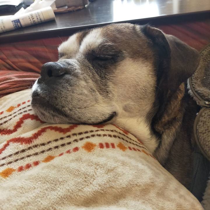 4f278816 592a 41f7 ad74 26142dfce0d4 1644147461387