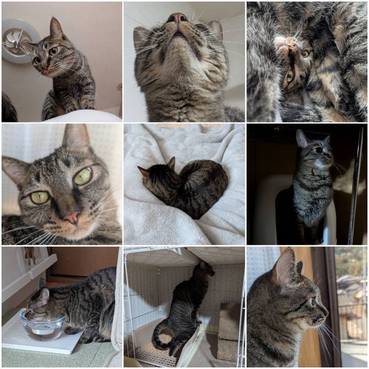 4f27a9a2 040e 41f2 8688 81c3aee4eb5f 1744520287027