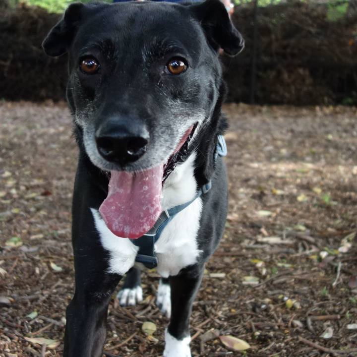 4f27b572 3ffb 44cb b9a9 13fed626ee75 1714094380766