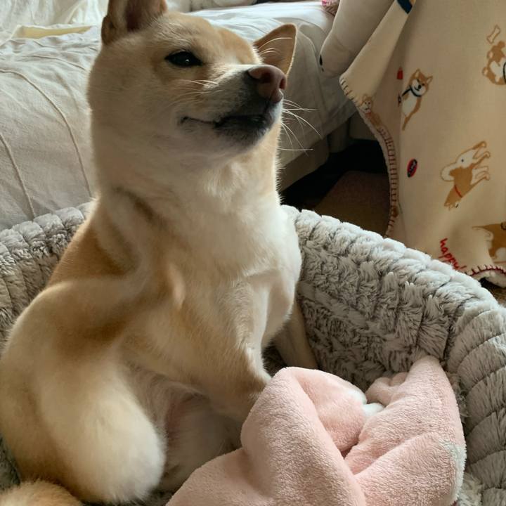 4f27f4dd 3b08 4f21 bd4c edebbc27d321 1636241914275