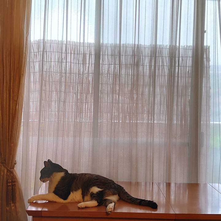 4f27fa99 8830 4790 a2bc 7681897ffe67 1721091487568