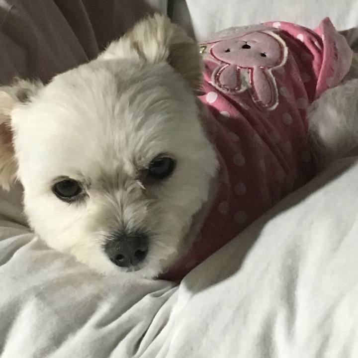 4f282d6b 507a 45a9 afb9 ad2fd8f938bb 1508840946878