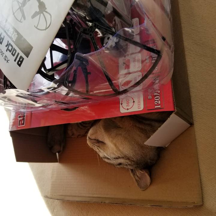 4f287444 0293 4e53 bad1 b1619d3073a3 1675091666956