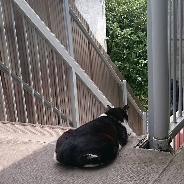 4f288ffd 4061 4d26 81f7 ce6d3ab0ec13 1526087919737