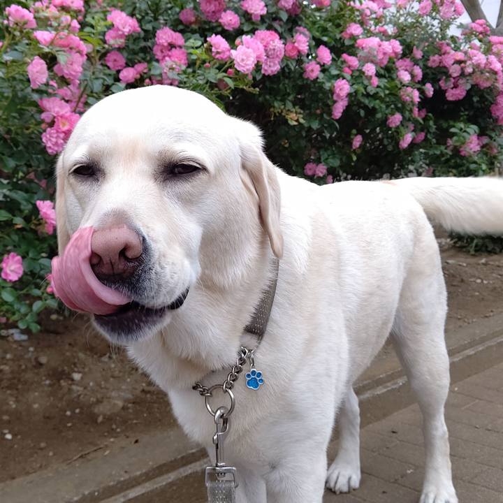 4f289cb5 181a 4102 8fff 38f5e2ba78ec 1590973852500