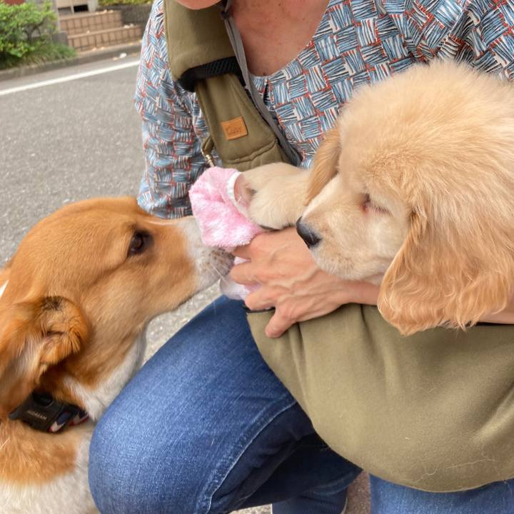 4f28a6d4 67c8 4845 9226 02ea5badb429 1686099041854